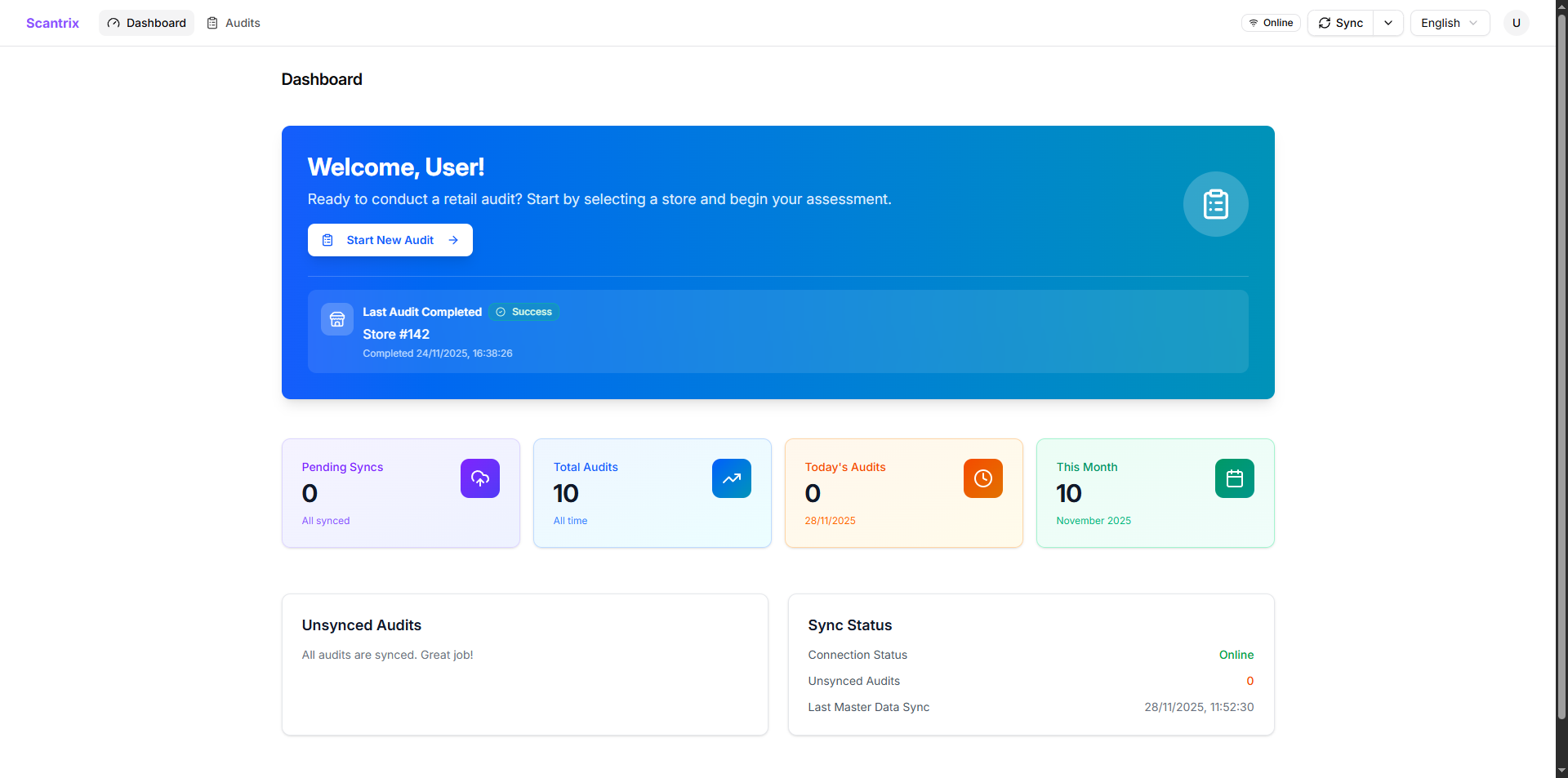 Retail Audit System product interface